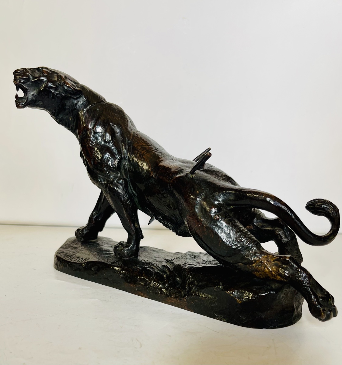 Lionne blessée - Charles VALTON-photo-1